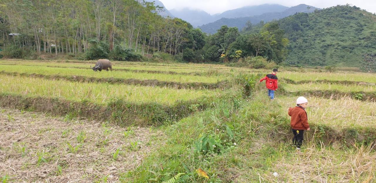 Fancy Sapa Hostel 2 外观 照片